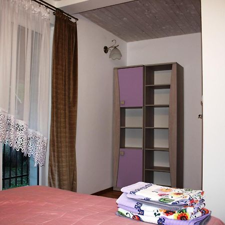 Villa Dom W Bieszczadach 10 Osobowy à Wolkowyja Extérieur photo